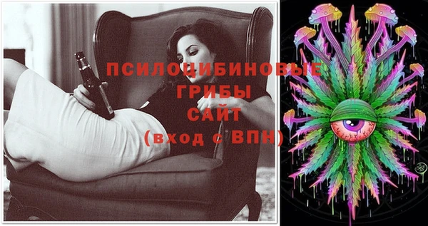 ПСИЛОЦИБИНОВЫЕ ГРИБЫ Аркадак