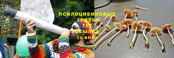 ПСИЛОЦИБИНОВЫЕ ГРИБЫ Аркадак