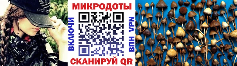 Псилоцибиновые грибы Cubensis  нарко площадка Telegram  Отрадная 
